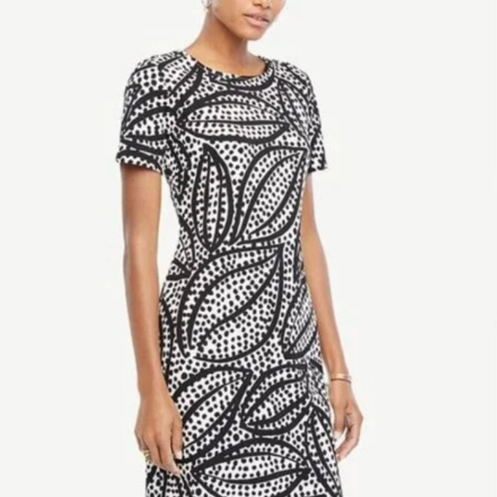 Ann Taylor Leaf Shift Dress, NWOT, Black/white,  Size 2